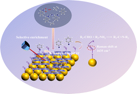 Graphical abstract: SERS sensing chip based on Ti3C2/nano-Au@MA for ultrasensitive amine gas detection