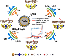 Graphical abstract: Heterostructure CoFe@(Co0.5Fe0.5)S@NCNT anchored on rice husk-based hierarchical porous carbon as a bifunctional cathode catalyst for Zn–air batteries