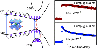 Graphical abstract: Ultrafast hole relaxation between dual valence bands in methylammonium lead iodide