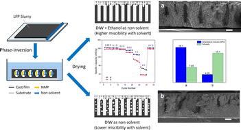 Graphical abstract: A strategy to build high-performance thick electrodes for lithium-ion batteries with enhanced compressive modulus and regulated tortuosity in the phase-inversion process