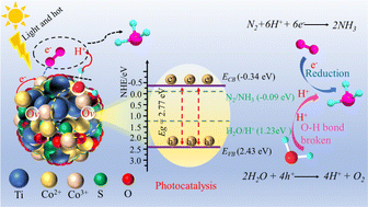 Graphical abstract: Synergism of heterovalent valence state and oxygen vacancy defect engineering in Co/S co-doped TiO2 for nitrogen photoreduction to ammonia