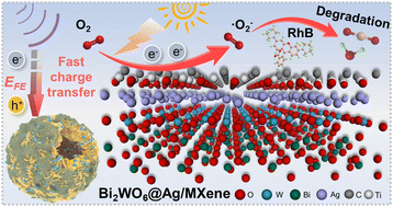 Graphical abstract: Design of interfacial dual Schottky junctions to modulate charge transfer for enhanced piezo-assisted photocatalytic degradation RhB performances