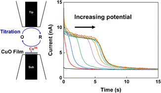 Graphical abstract: In situ analysis of the oxygen evolution reaction on the CuO film in alkaline solution by surface interrogation scanning electrochemical microscopy: investigating active sites (CuIII) and kinetics