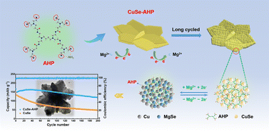 Graphical abstract: Copper selenide/amino hyperbranched polymer as an organic/inorganic hybrid composite cathode for rechargeable magnesium batteries