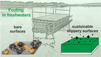 Graphical abstract: Performance of environmentally friendly, liquid-infused coatings against biofouling: evaluation of macrofouling and microbially induced corrosion in freshwater environments