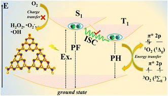 Graphical abstract: Unveiling the mechanism on photocatalytic singlet oxygen generation over rationally designed carbonylated carbon nitride