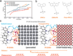 Graphical abstract: Revolutionary SAMs: transforming inverted perovskite solar cells