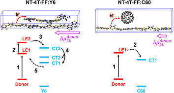 Graphical abstract: Polarized local excitons assist charge dissociation in Y6-based nonfullerene organic solar cells: a nonadiabatic molecular dynamics study