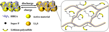 Graphical abstract: Amphipathic emulsion binder for enhanced performance of lithium–sulfur batteries