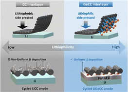 Graphical abstract: Lithiophilic interlayer driven ‘bottom-up’ metal infilling in high current density Li-metal anodes