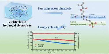 Graphical abstract: Self-adhesive polyzwitterionic hydrogel electrolytes for long-life flexible zinc-ion batteries