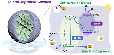 Graphical abstract: In situ imprinted cavity fabrication within BiOBr@porphyrin composites for selective and efficient degradation of trace norfloxacin