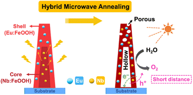 Graphical abstract: Inducing hollow and porous hematite nanorod photoanodes by rare earth and transition metal doping for enhanced solar water splitting