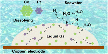 Graphical abstract: Dynamic dual-atom synergistic catalysis boosted by liquid metal for direct seawater electroreduction