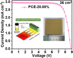 Graphical abstract: Cyclen molecule manipulation for efficient and stable perovskite solar cells