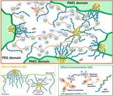 Graphical abstract: Tough and single lithium-ion conductive nanocomposite electrolytes based on PAES-g-PEG and POSS–PEG for lithium–sulfur batteries