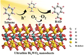 Graphical abstract: Tailoring bismuth defects in Bi2WO6 nanosheets for photocatalytic C–H activation