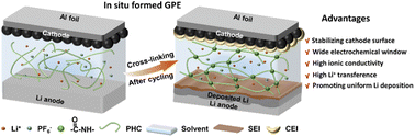 Graphical abstract: Tailoring the interface of lithium metal batteries with an in situ formed gel polymer electrolyte