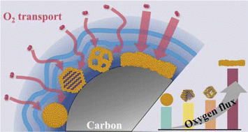 Graphical abstract: Revealing local oxygen transport in ionomer films on multidimensional nanoscale catalysts in fuel cells