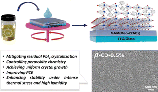 Graphical abstract: Supramolecular interactions using β-cyclodextrin in controlling perovskite solar cell performance