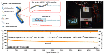 Graphical abstract: Janus nanofibers with multiple Li+ transport channels and outstanding thermal stability for all-solid-state composite polymer electrolytes