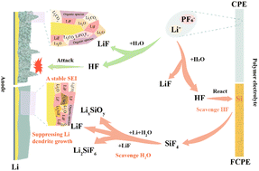 Graphical abstract: A functional silicon composite polymer electrolyte with hydrofluoric acid scavenging for quasi-solid-state lithium metal batteries