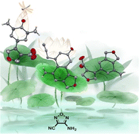 Graphical abstract: Construction of a series of insensitive energetic materials starting from the condensation reaction of 3-amino-4-cyanofurazan