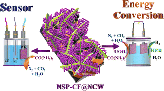 Graphical abstract: Microstructural and electron framework-engineered 3D NiSeP-integrated CuFe composites as trifunctional electrocatalysts for sensing and urea-assisted water-splitting applications