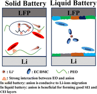 Graphical abstract: In-depth exploration of the effect mechanisms of various lithium salt anions in solid-state and liquid lithium metal batteries
