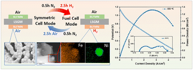 Graphical abstract: A redox-reversible A/B-site co-doped BaFeO3 electrode for direct hydrocarbon solid oxide fuel cells