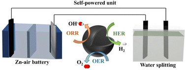 Graphical abstract: Tri-functional Fe-based electrocatalyst with sturdy three-dimensional frame construction for the ORR, OER and HER