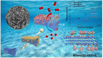 Graphical abstract: Synergistically coupling CoS/FeS2 heterojunction nanosheets on a MXene via a dual molten salt etching strategy for efficient oxygen evolution reaction