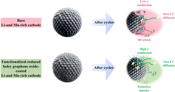 Graphical abstract: Minimizing ion/electron pathways through ultrathin conformal holey graphene encapsulation in Li- and Mn-rich layered oxide cathodes for high-performance lithium-ion batteries