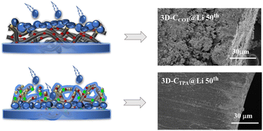 Graphical abstract: Bottom-up deposition of lithium on 3D lithiophobic–lithiophilic host for long-life lithium metal anodes