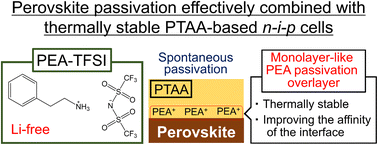 Graphical abstract: Thermally stable phenylethylammonium-based perovskite passivation: spontaneous passivation with phenylethylammonium bis(trifluoromethylsulfonyl)imide during deposition of PTAA for enhancing photovoltaic performance of perovskite solar cells