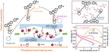 Graphical abstract: Spacer-engineering construction of continuous proton transport networks for cardo poly(biphenyl indole) high-temperature proton exchange membranes