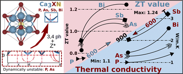 Graphical abstract: Strong anharmonicity and medium-temperature thermoelectric efficiency in antiperovskite Ca3XN (X = P, As, Sb, Bi) compounds