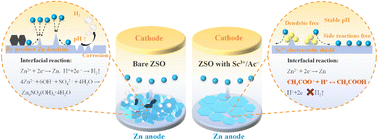 Graphical abstract: Enabling stable aqueous Zn metal anodes using scandium acetate electrolyte additives