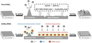 Graphical abstract: Enhanced electrostatic shielding effect through incorporation of trace amounts of highly chelating anions for establishing a more stable electric double layer