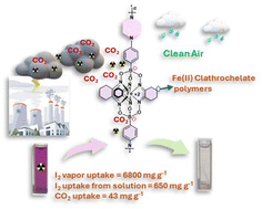 Graphical abstract: Construction of polyimide structures containing iron(ii) clathrochelate intercalators: promising materials for CO2 gas uptake and salient adsorbents of iodine from gaseous and liquid phases