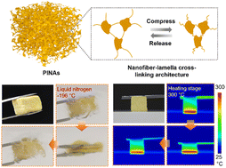 Graphical abstract: Fatigue-resistant and thermal insulating polyimide nanofibrous aerogels with temperature-invariant flexibility and nanofiber–lamella crosslinking architecture