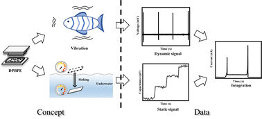 Graphical abstract: Synchronous monitoring of underwater dynamic/static pressure based on piezoelectric/capacitive polyester elastomer/carbon nanotube composites