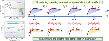 Graphical abstract: Broadening the operating temperature span of the electrocaloric effect in lead-free ceramics via creating multi-stage phase transitions