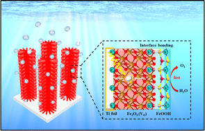 Graphical abstract: Boosting interfacial bonding between FeOOH catalysts and Fe2O3 photoanodes toward efficient water oxidation