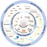 Graphical abstract: Halide perovskite for enhancing photocatalytic efficiency: basic characteristics, nanostructure engineering and applications