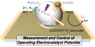 Graphical abstract: Operando measurement of electrocatalyst potential on particulate photocatalysts for overall water splitting