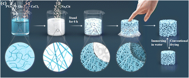 Graphical abstract: Hydrophilic amphibious open-cell macroporous sponge by Hofmeister effect induced nanofibrils