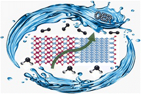 Graphical abstract: Robust nanoporous NiMn oxide electrocatalysts for the oxygen evolution reaction through defect engineering