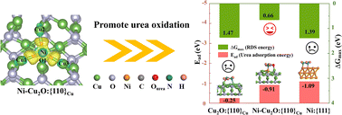 Graphical abstract: Enhanced urea oxidation catalysis through Ni single-atom doping on Cu2O surfaces: a computational study