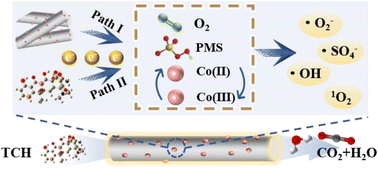 Graphical abstract: Oxygen defect regulation and photocatalytic-peroxymonosulfate activation of Co(ii)/BiPO4−x composites synergistically promoting medical waste degradation